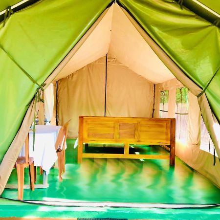 Eden Yala Hotel Eksteriør billede