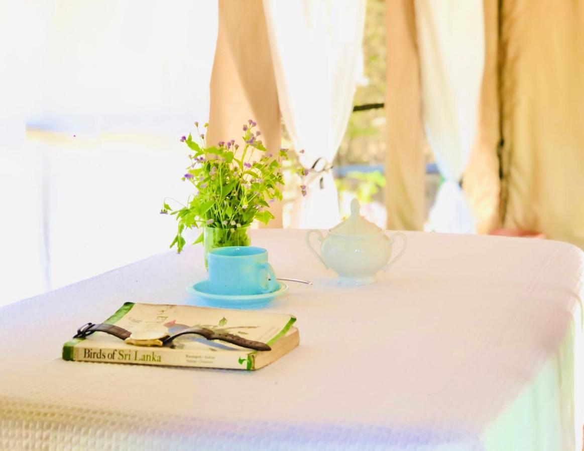 Eden Yala Hotel Eksteriør billede