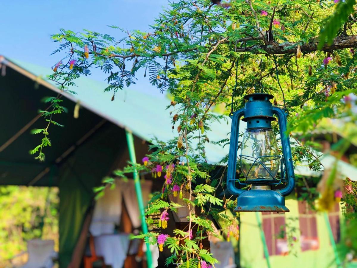 Eden Yala Hotel Eksteriør billede