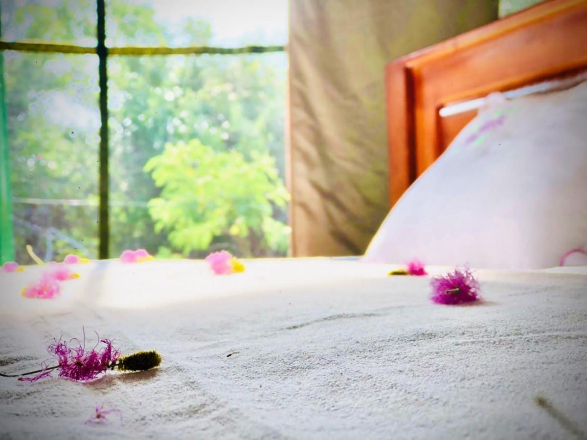 Eden Yala Hotel Eksteriør billede