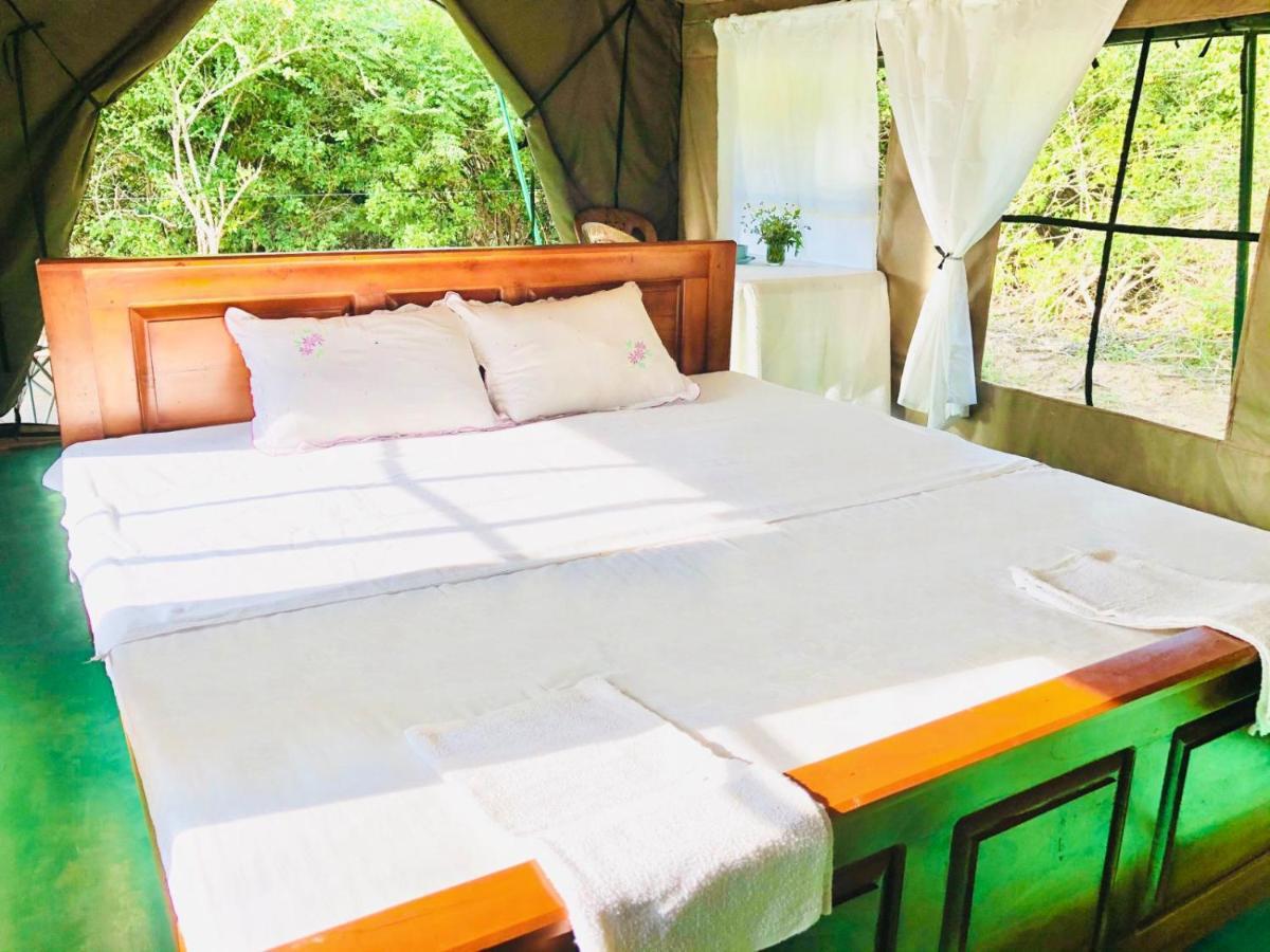 Eden Yala Hotel Eksteriør billede