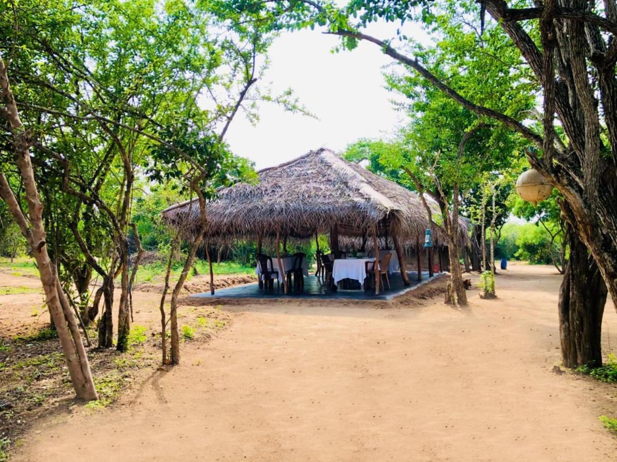 Eden Yala Hotel Eksteriør billede