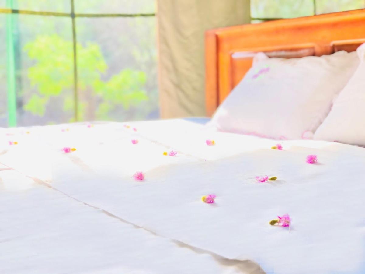 Eden Yala Hotel Eksteriør billede