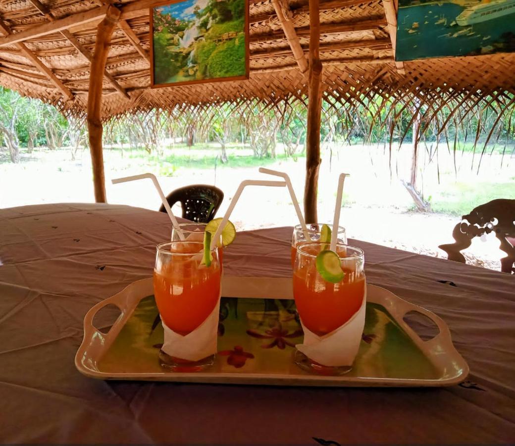 Eden Yala Hotel Eksteriør billede