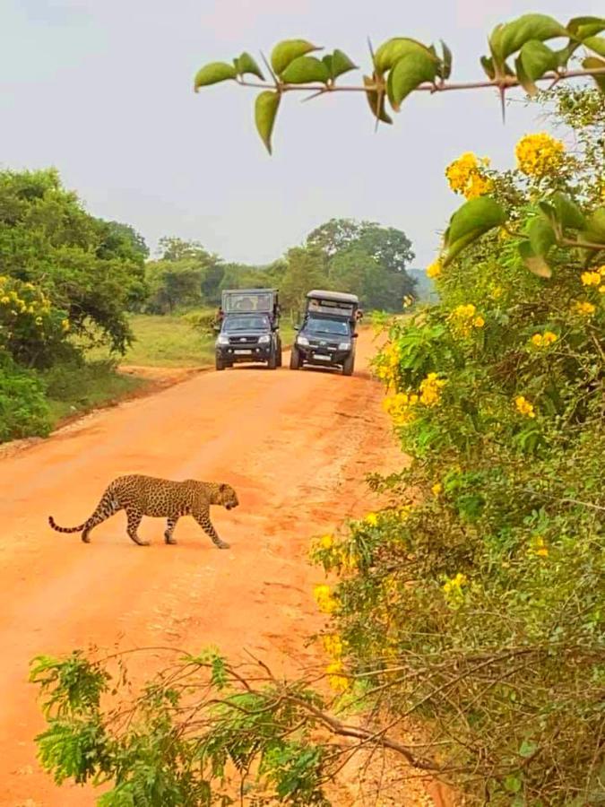 Eden Yala Hotel Eksteriør billede