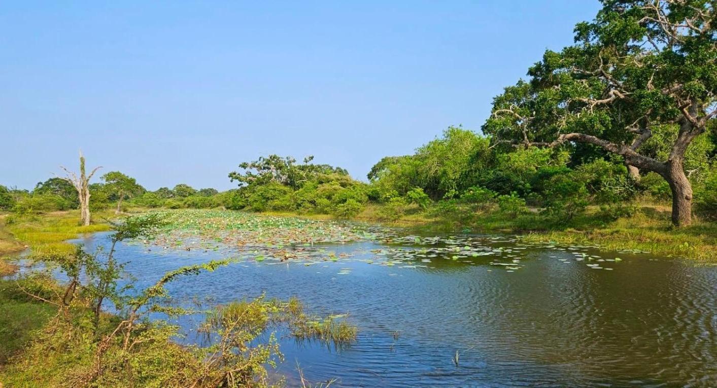 Eden Yala Hotel Eksteriør billede