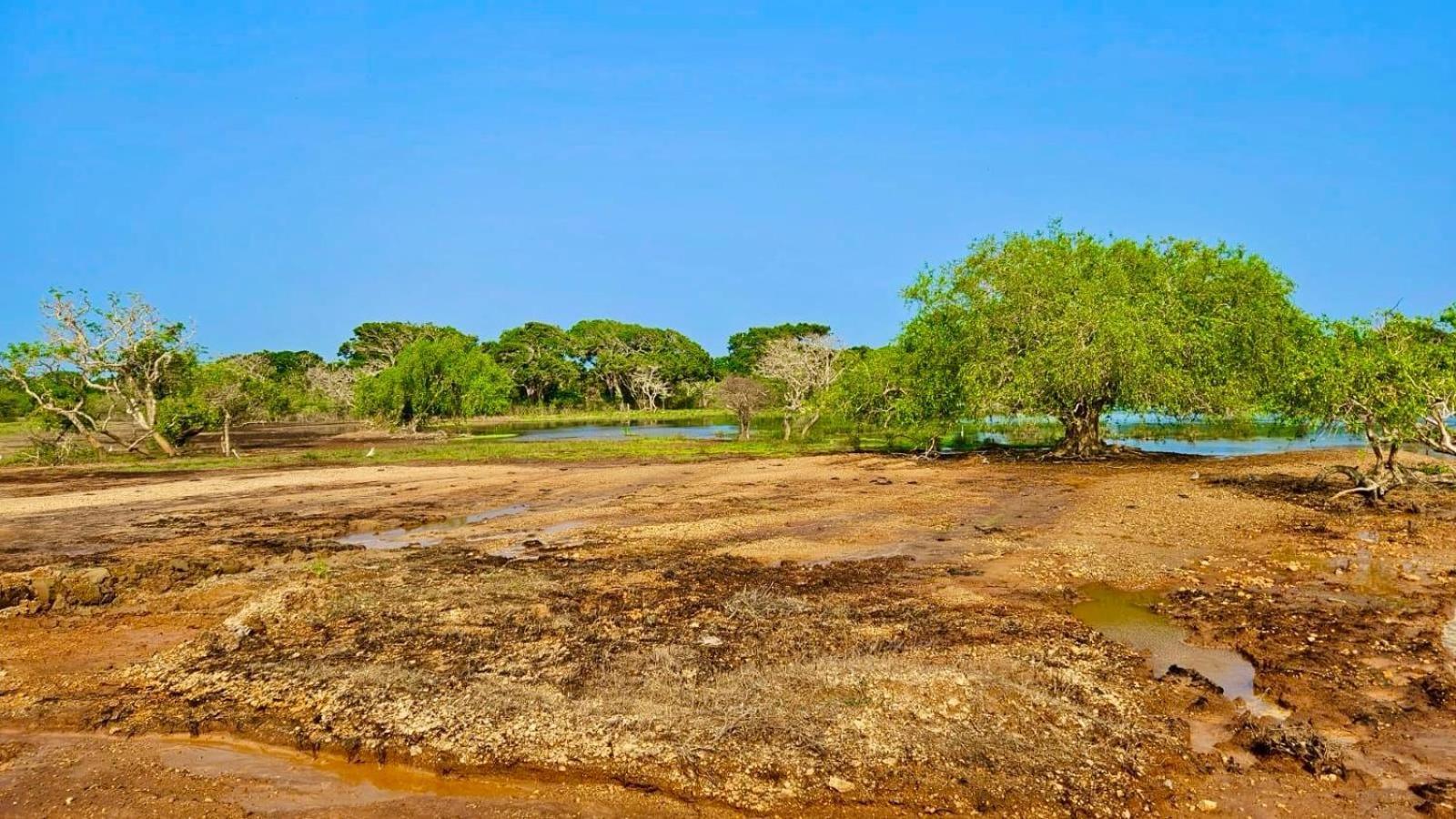 Eden Yala Hotel Eksteriør billede