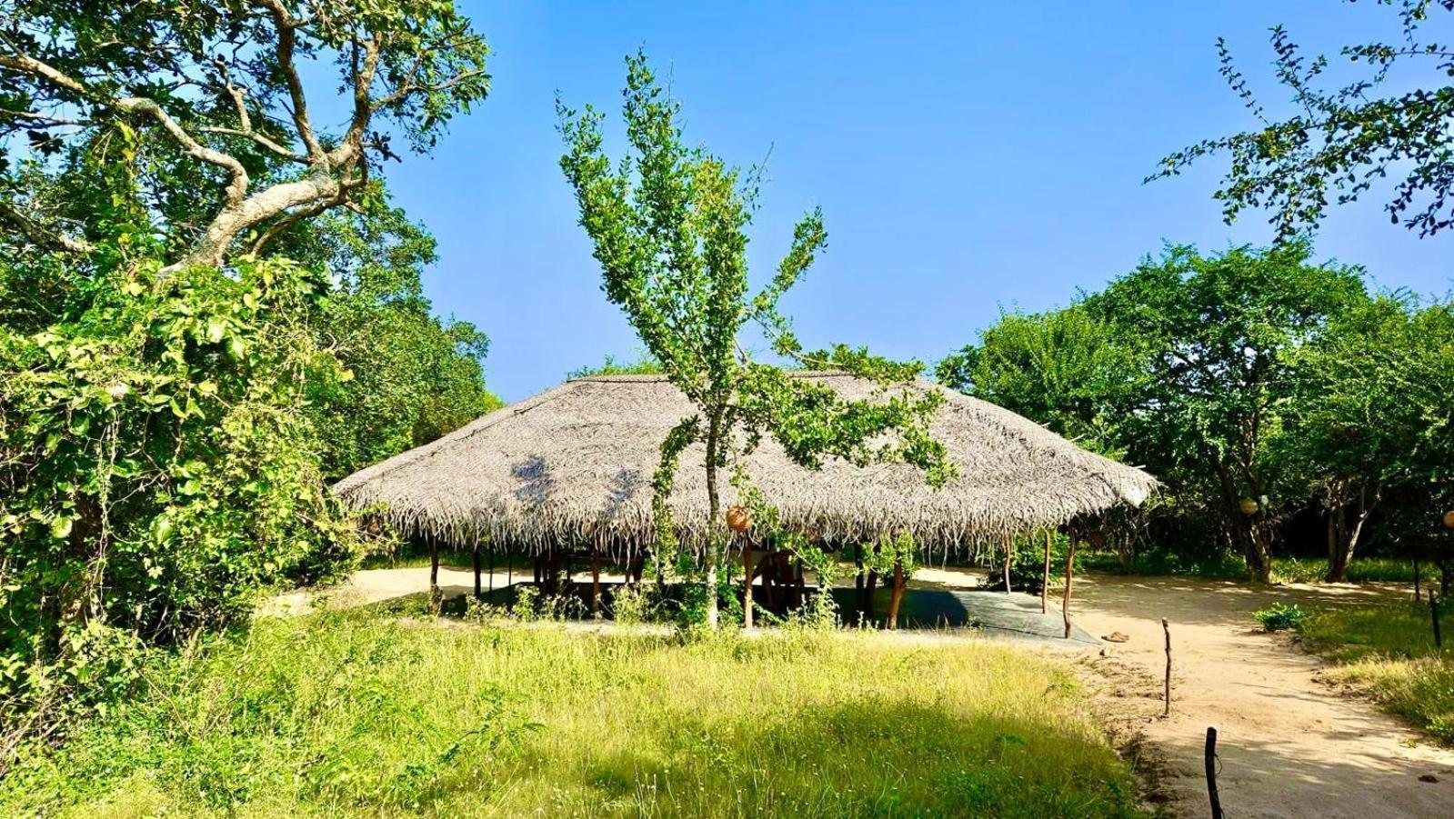 Eden Yala Hotel Eksteriør billede