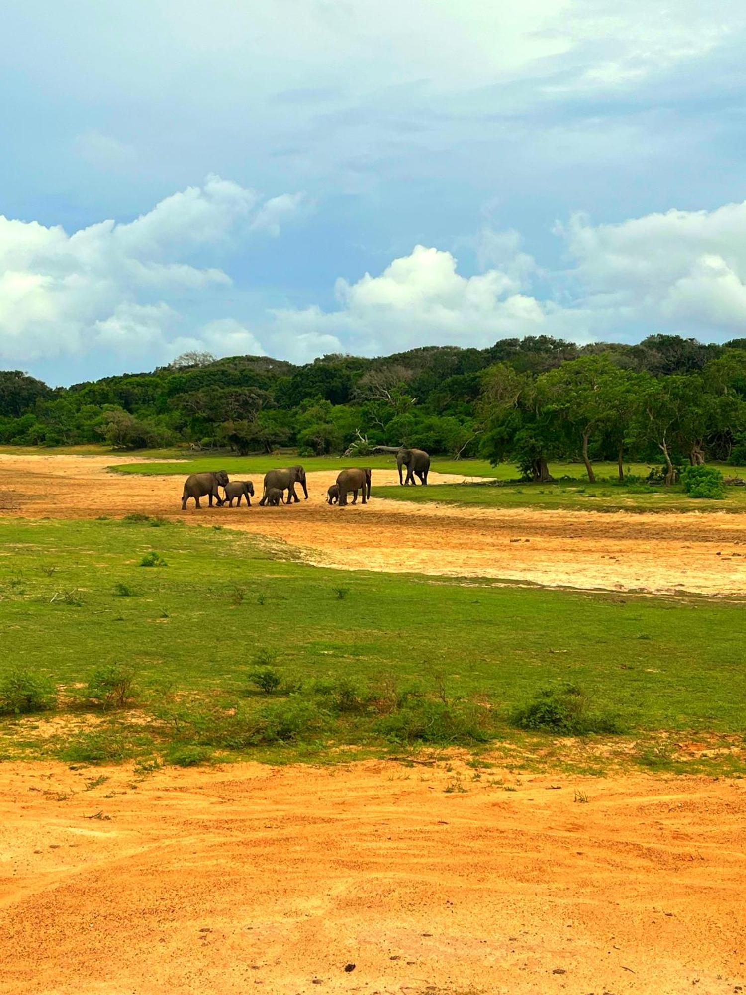 Eden Yala Hotel Eksteriør billede